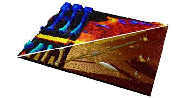 SignatureSPM: Scanning Probe Microscope
