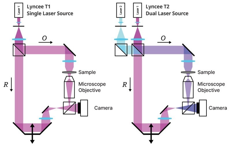 UPDATES - Lyncée Transmission Series: Real-Time Quantitative Imaging for Life Sciences and Materials Science