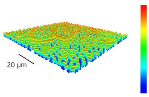 UPDATES - Lyncée Transmission Series: Real-Time Quantitative Imaging for Life Sciences and Materials Science