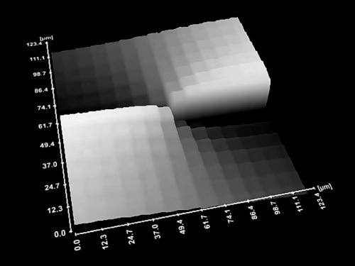 UPDATES - Lyncée Transmission Series: Real-Time Quantitative Imaging for Life Sciences and Materials Science