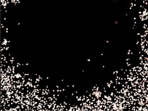 UPDATES - Lyncée Transmission Series: Real-Time Quantitative Imaging for Life Sciences and Materials Science