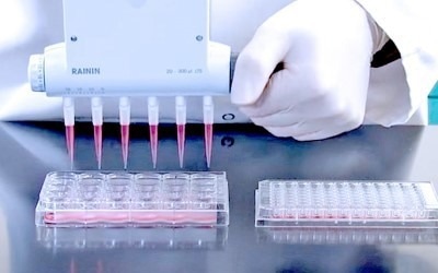 Rainin XLS Manual Adjustable Spacer Multichannel Pipette