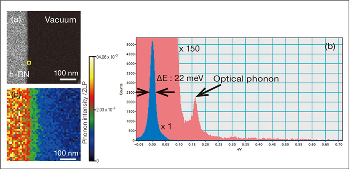 Low-loss EELS map of a hexagonal boron nitride (h-BN) with a monochromatic probe using a 0.1 μm slit. probe size = 1 nm, probe current = 10 pA, acquisition time for each pixel = 0.3 seconds. (a) shows the ADF-STEM image the mapping area. (b) shows the extracted low-loss spectrum from the edge of the specimen indicated with the framed yellow square in Fig. (a). This spectrum, measured with ΔE = 22 meV, showed a peak corresponding to an optical phonon at 170 meV. (c) shows the EELS map at the phonon energy. The phonon intensity was delocalized at the vacuum area > 100 nm beyond the sample edge due to the delocalization of inelastical scattering of electrons