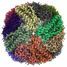 CRYO ARM™ 300 II: Field Emission Cryo-electron Microscope