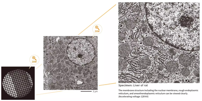JEM-120i: Transmission Electron Microscope for Soft Materials