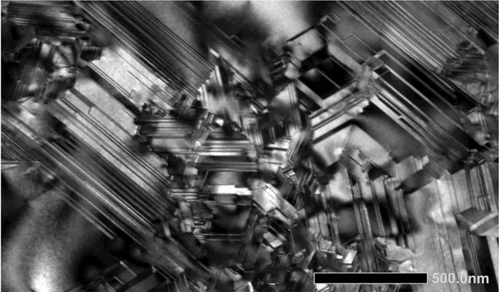 BF-TEM. Instrument: JEM-2100Plus.