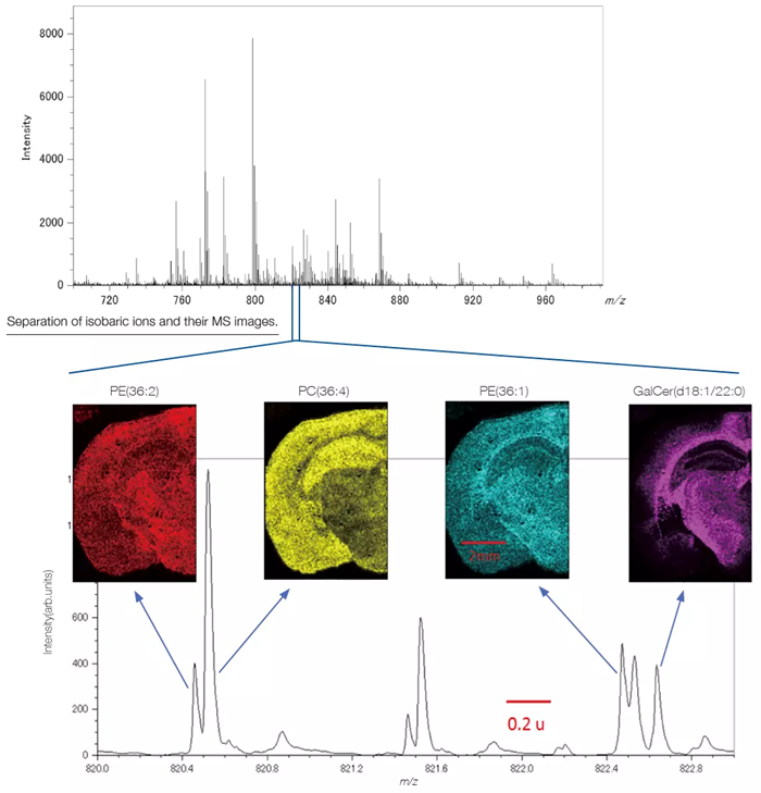 PE: Phosphatidyl ethanolamine, PC: Phosphatidyl Choline, GalCer: Galactosylceramide.The data were acquired in a joint research project with the Mass Spectrometry Group, Project Research Center for Fundamental Sciences, Graduate School of Science, Osaka University. The tissue section specimen was provided by Awazu laboratory, Division of Sustainable Energy and Environmental Engineering, Graduate School of Engineering, Osaka University.