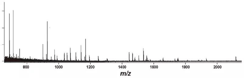 Mass spectrum of BSA tryptic digest standard (equivalent to 500 amol).