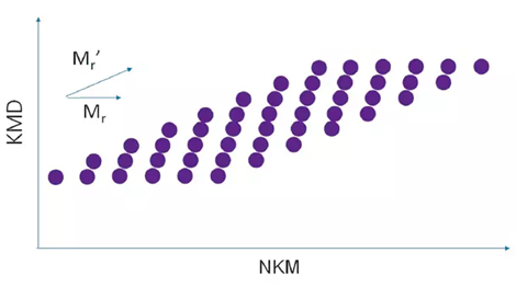 msRepeatFinder: Polymer Analysis Software