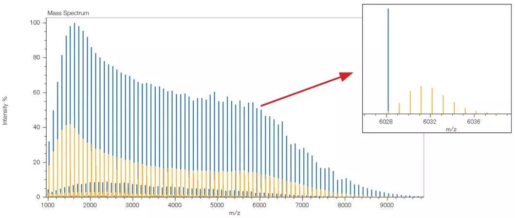 Yellow: before deisotoping, Blue: after deisotoping.
