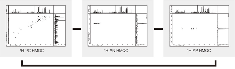 ROYALPROBE™: Broadband Probe for Heteronuclear Measurements