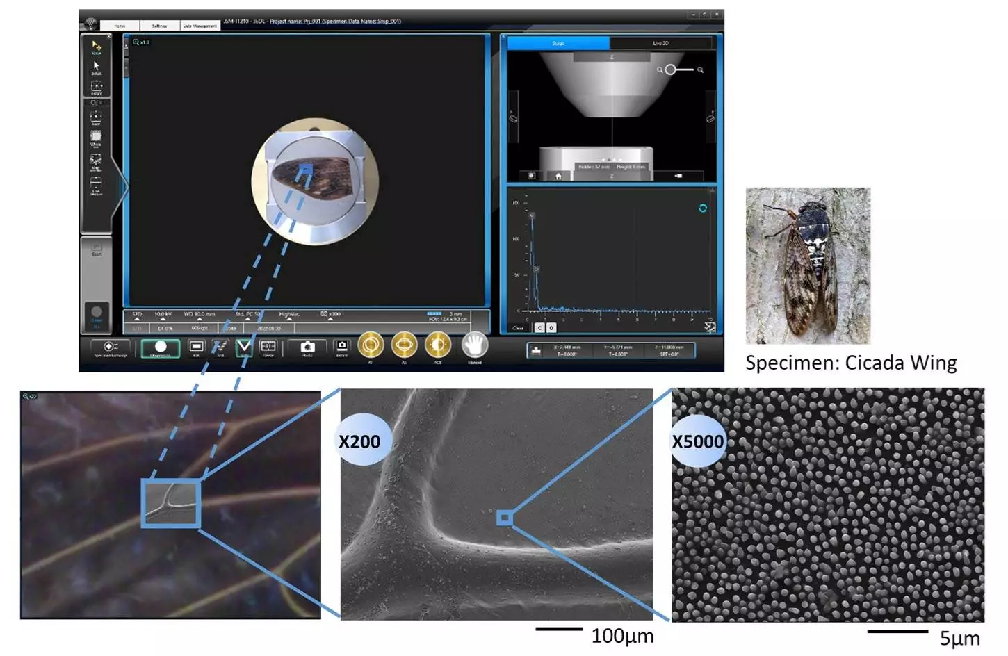 InTouchScope™ Scanning Electron Microscope Series