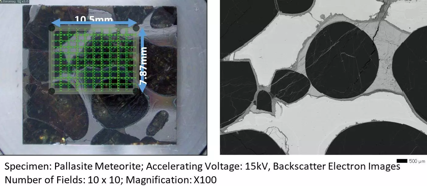 InTouchScope™ Scanning Electron Microscope Series