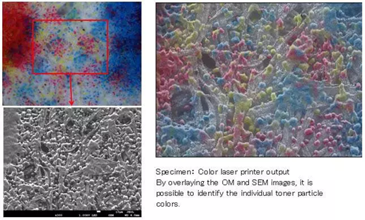 miXcroscopy™: Linked Optical & Scanning Electron Microscopy System