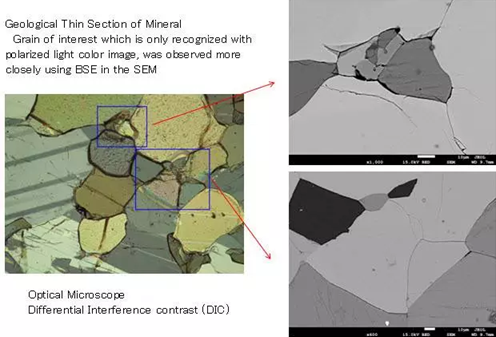 miXcroscopy™: Linked Optical & Scanning Electron Microscopy System