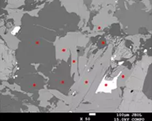 Backscattered electron image: Mag. x50