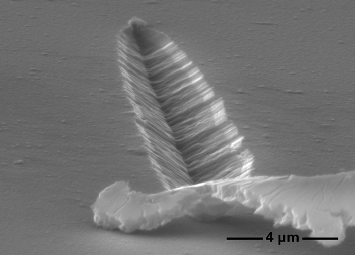 In-situ scratch testing using the nanoScratch module