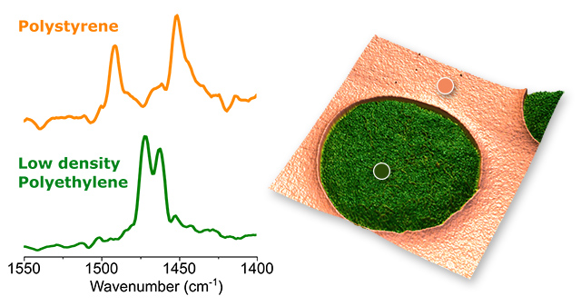 High quality resonance-enhanced AFM-IR spectra collected at different sites on a PS-LDPE polymer blend, illustrating a high degree of material sensitivity and deeper insight into nanoscale material properties.