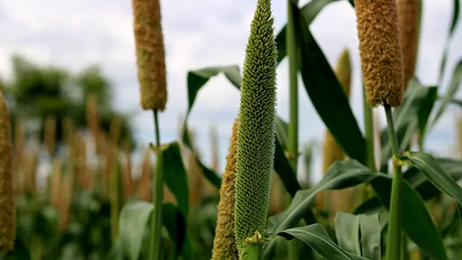 EVA Karl Fischer Titrators for Reliability