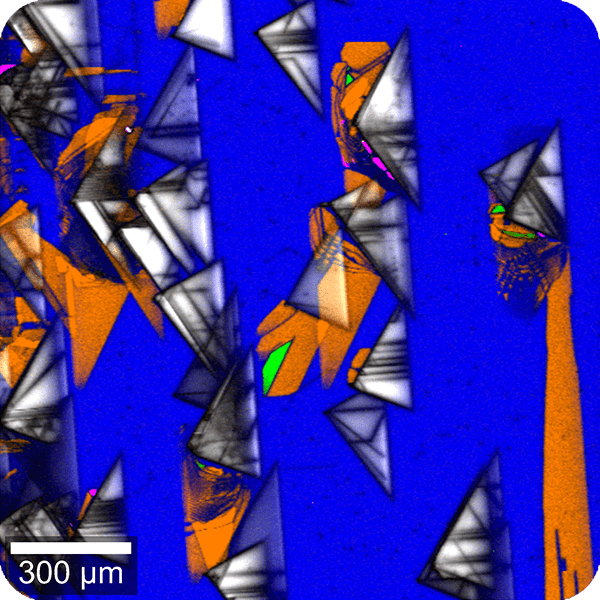How the witec360 Raman Microscope is Redefining Nanoscale Imaging