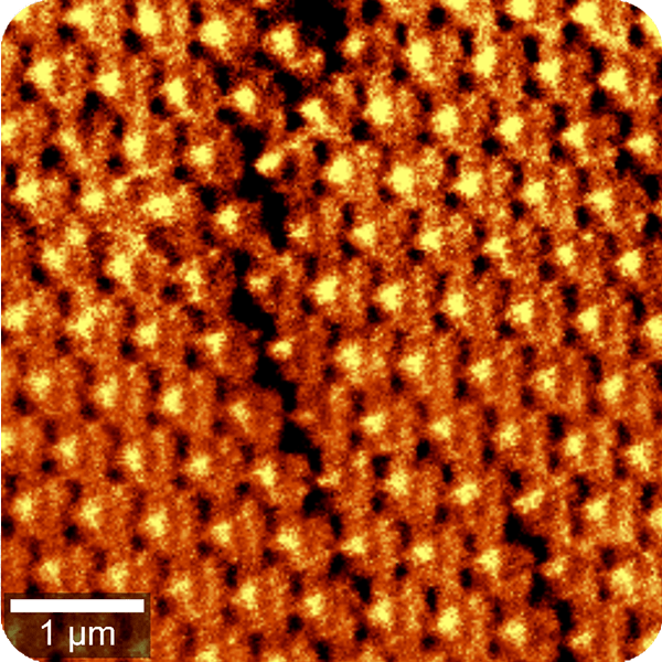 How the witec360 Raman Microscope is Redefining Nanoscale Imaging