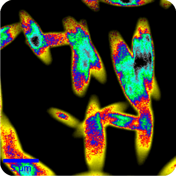 How the witec360 Raman Microscope is Redefining Nanoscale Imaging