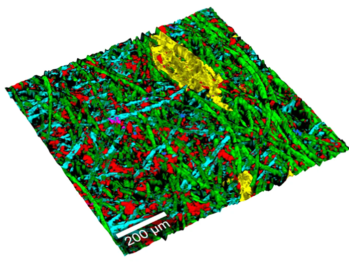 Topographic Raman microscopy image of cellulose fibers