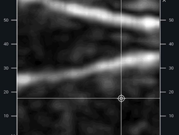 This image shows shows pan decking using the top-down Slice View.