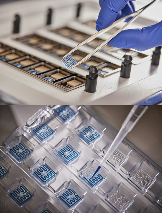 Why the TA Instruments RS-DSC is a Game-Changer in Drug Thermal Analysis