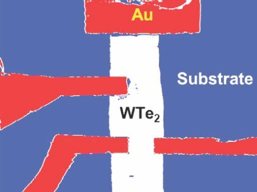 Park FX40: High Resolution AFM for Small Sample Analysis