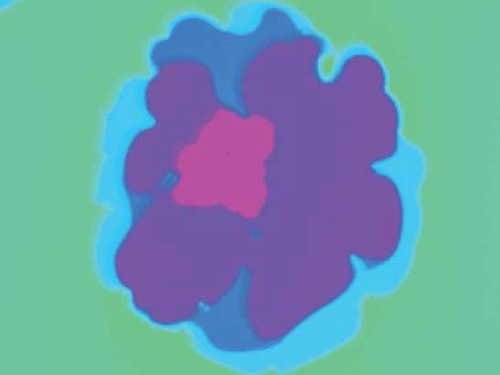 Park FX40: High Resolution AFM for Small Sample Analysis