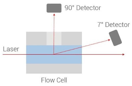 The Ultimate Guide to Absolute Molecular Weight Analysis Using BeSEC