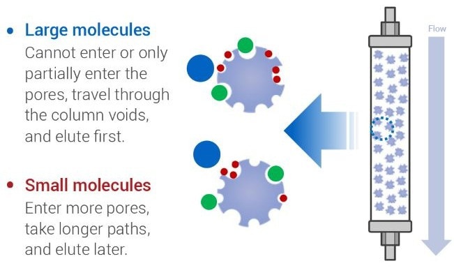 The Ultimate Guide to Absolute Molecular Weight Analysis Using BeSEC