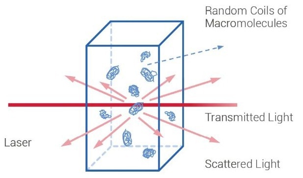The Ultimate Guide to Absolute Molecular Weight Analysis Using BeSEC