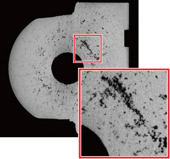 High-Resolution Cross-Sectional Image (14 Megapixel Input Resolution)