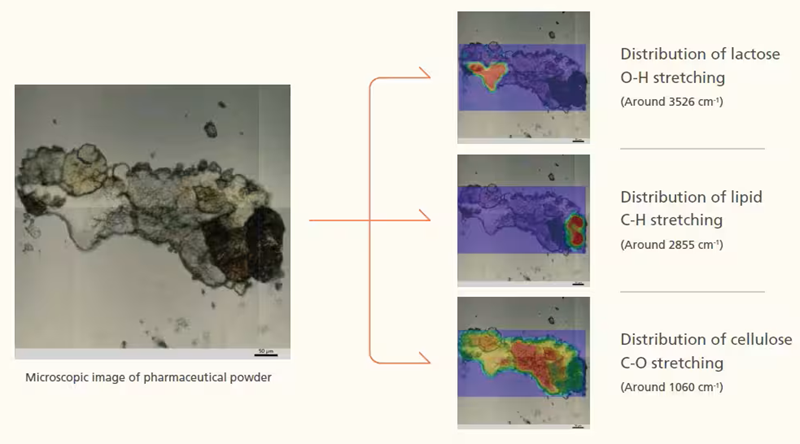 The AIMsight FTIR Microscopic image of pharmaceutical powder showing distribution of different stretching bands.