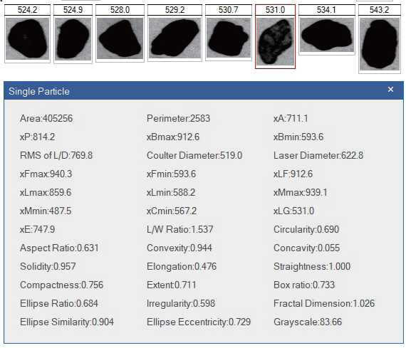 Bettersizer 2600 Plus for Advanced Particle Size and Shape Analysis