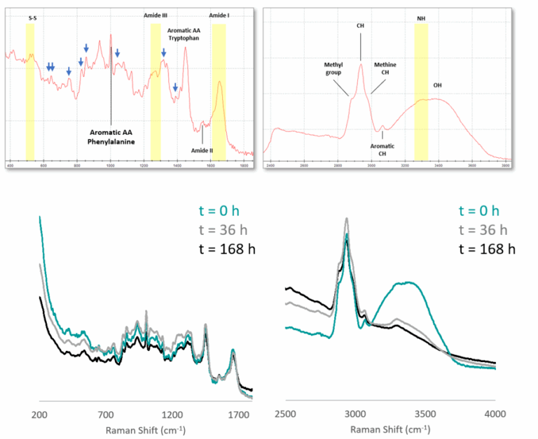 Monitoring moisture-to-protein ratio and water activity in beef jerky production.