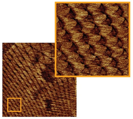 High-resolution topography images of a van der Waals heterostructure showing a moiré superlattice. Images collected in torsional resonance dynamic force microscopy (TR-DFM) with a FESPA probe. Scan sizes 1 × 1 µm and 200 × 200 nm (orange box).
