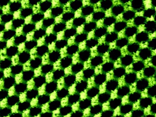 WSe2 on Graphene