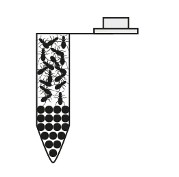 Safe-lock, single-use vial