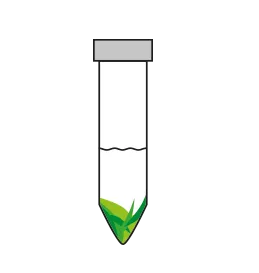 Disposable conical centrifugation tube