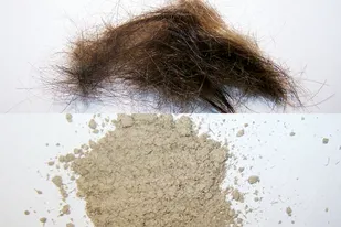 Hair