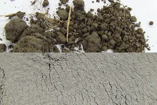 Soil