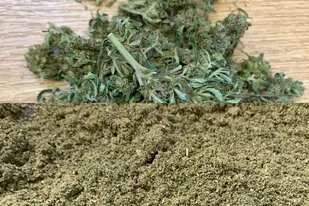 Cannabis