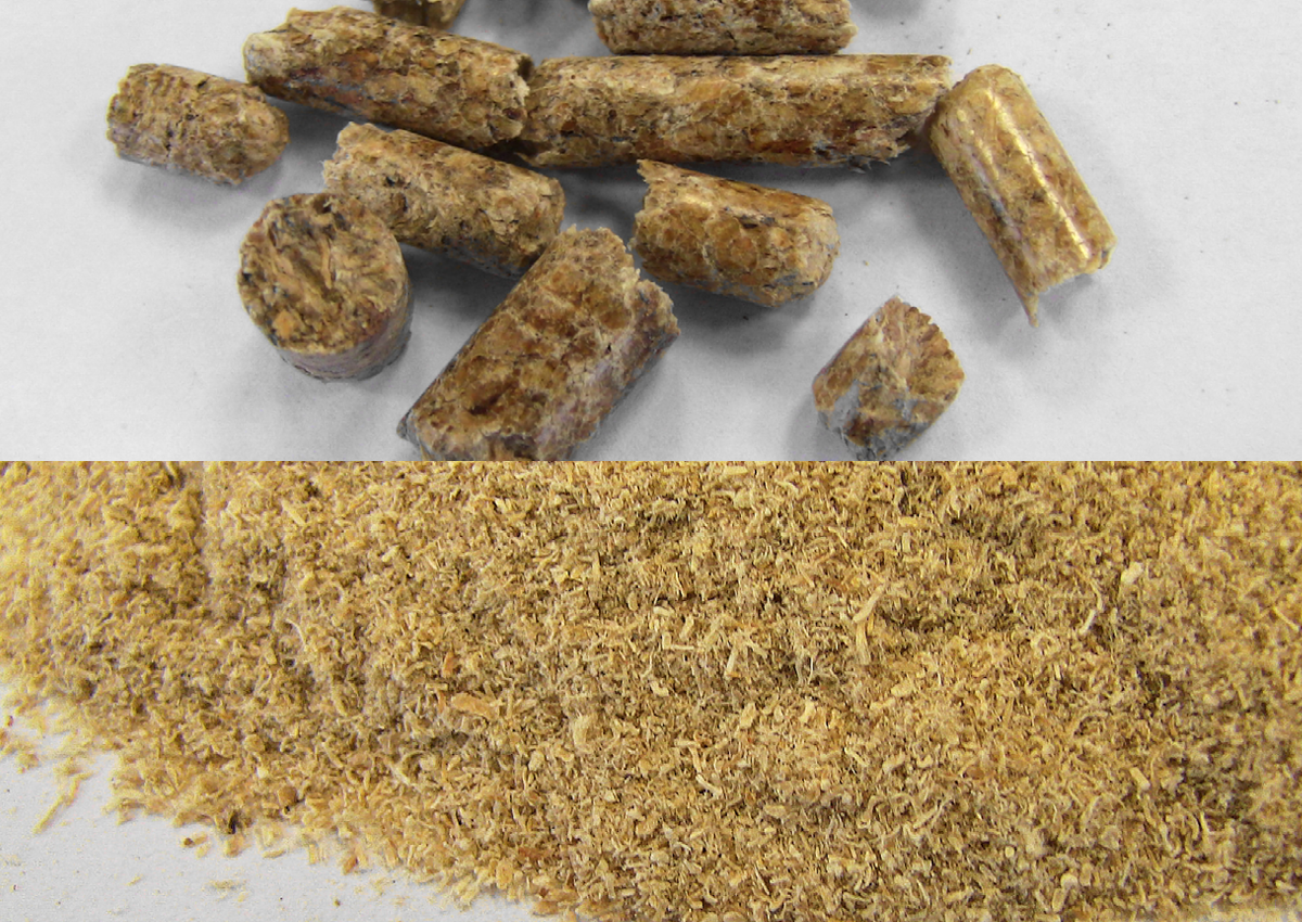 animal feed