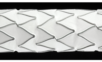 Zeus Bioweb™ Composites