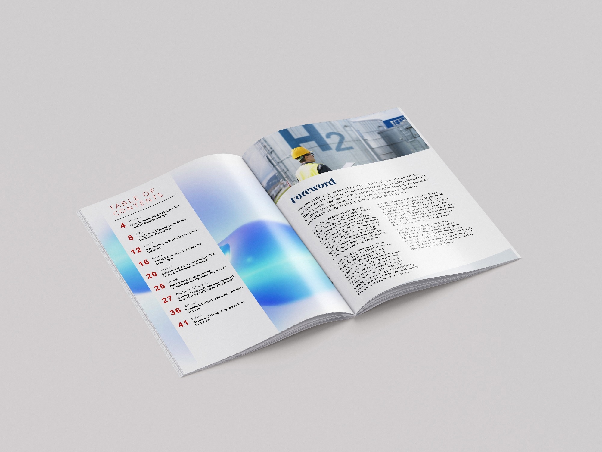 A rendering of the eBook