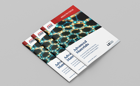 Editorial Focus eBook - Advanced Materials (4th Edition)