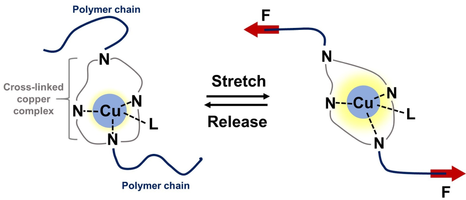 Stress-Detecting Smart Polymer Shines Brighter Upon Stretching